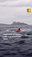 Ballena se traga a un hombre y luego lo escupe