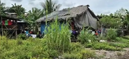 Encuentran a un recién nacido que fue abandonado en un potrero
