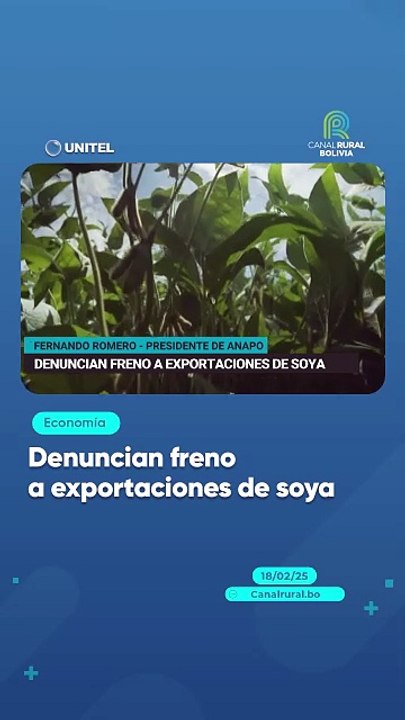 Denuncian freno a exportaciones de soya