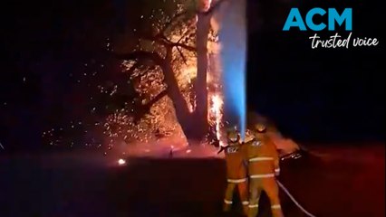 Lightning Turns Gum Tree into a Hollowed Out Blaze in Rural Victoria ⚡