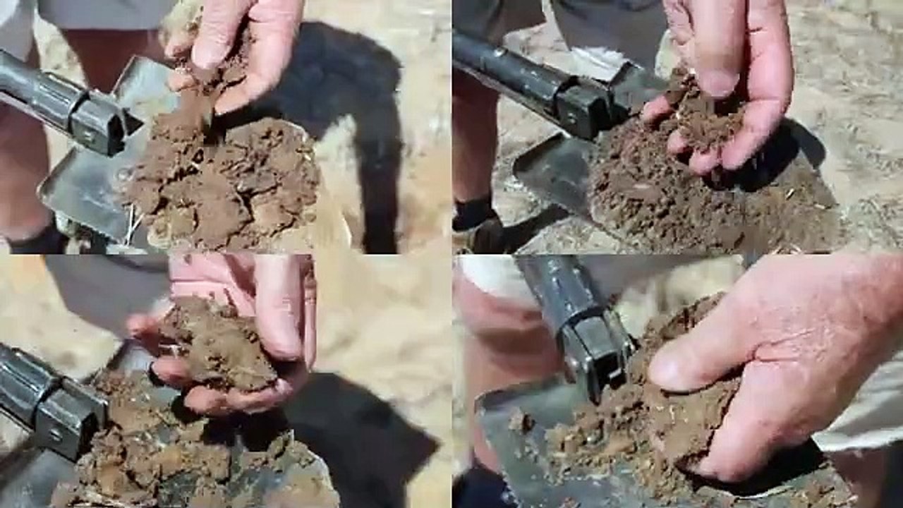 Four farm cropping aggregation near Lock, EP off to auction