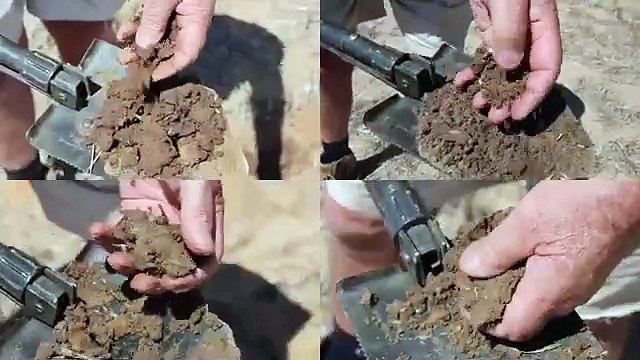 Four farm cropping aggregation near Lock, EP off to auction