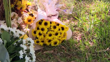 Prominent Perth obstetrician accused of causing fatal car crash faces court