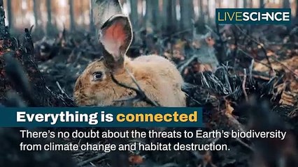Which Animals Will Survive Climate Change