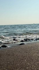 ربي يسعد صباحكم بكل خير