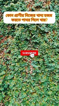 GK Quiz in Bangla সাধারণ জ্ঞান প্রশ্ন উত্তর পর্ব ০১ Learning Time BD