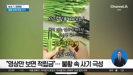 “영상만 보면 적립금”…SNS 부업 광고 사기 극성