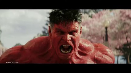 Captain America: Brave New World | Interview: Bird's Eye View