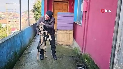 Köpeğin vefası herkesi duygulandırdı!