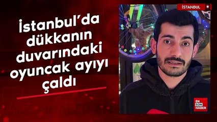 İstanbul'da dükkanın duvarındaki oyuncak ayıyı çaldı
