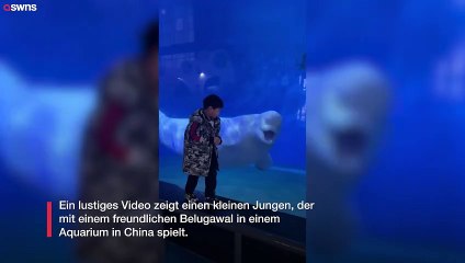 Junge und freundlicher Belugawal schneiden sich gegenseitig Grimassen