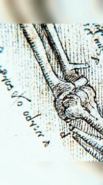 La Historia del Hombre de Vitruvio: Simbolismo y Significado en el Arte de Leonardo da Vinci