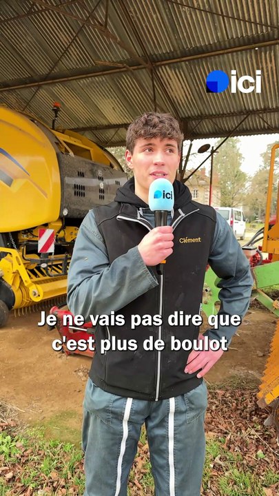 Clément, 16 ans, "l'amour des vaches"