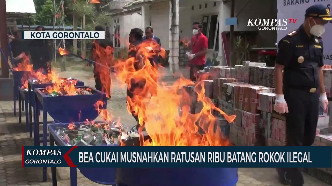 Bea Cukai Gorontalo Musnahkan Ratusan Ribu Batang Rokok Ilegal