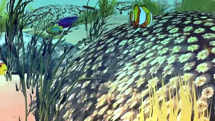 La Gran Barrera de Coral