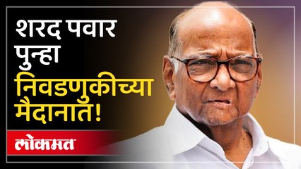 विधानसभेचं अपयश पचवून योद्धा पुन्हा मैदानात स्थानिक निवडणुकांसाठी पुन्हा उभारी