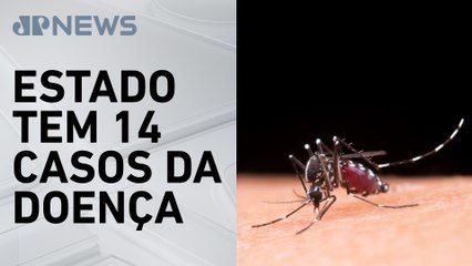 São Paulo confirma nona morte por febre amarela