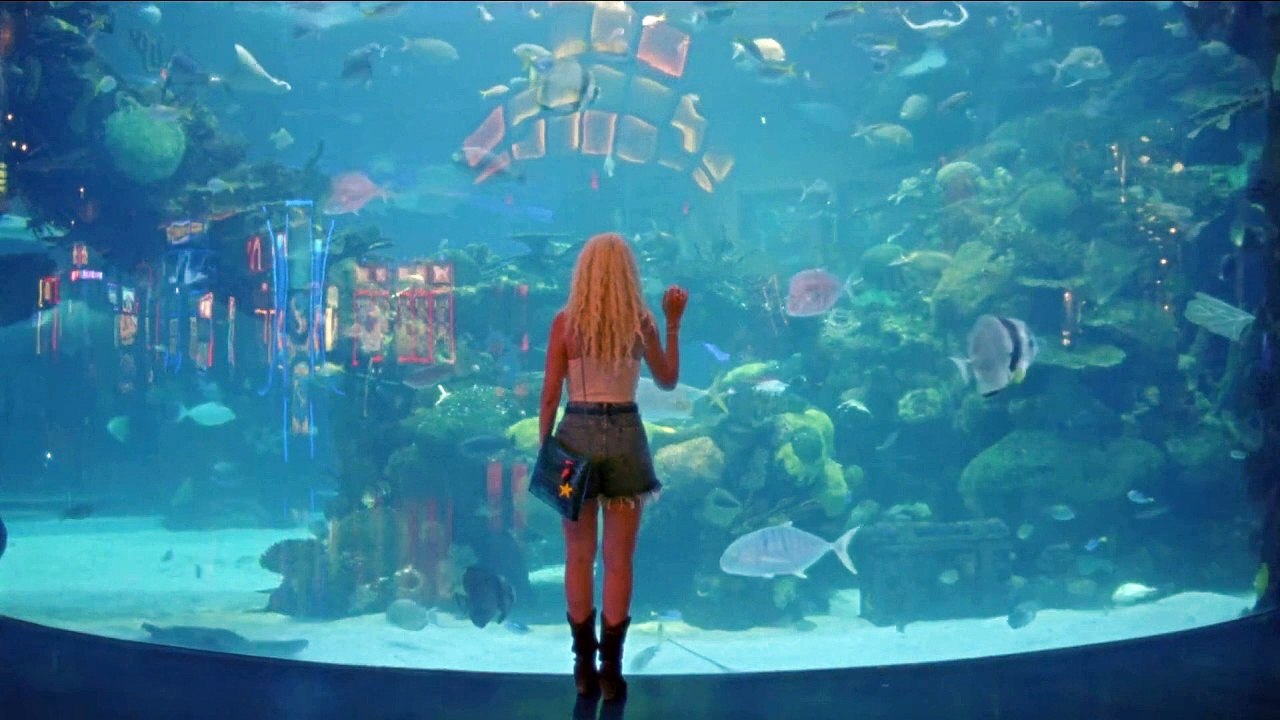 Sirens Call - Trailer