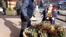 Fratton Bridge Centre in bloom as planters and benches installed as part of council's high street regeneration