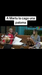 Martina tuvo un asqueroso percance en vivo dentro de la casa de Gran Hermano. Mirala.
