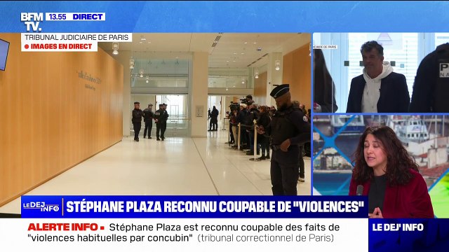 Procès Stéphane Plaza: l'animateur condamné à 12 mois de prison avec sursis