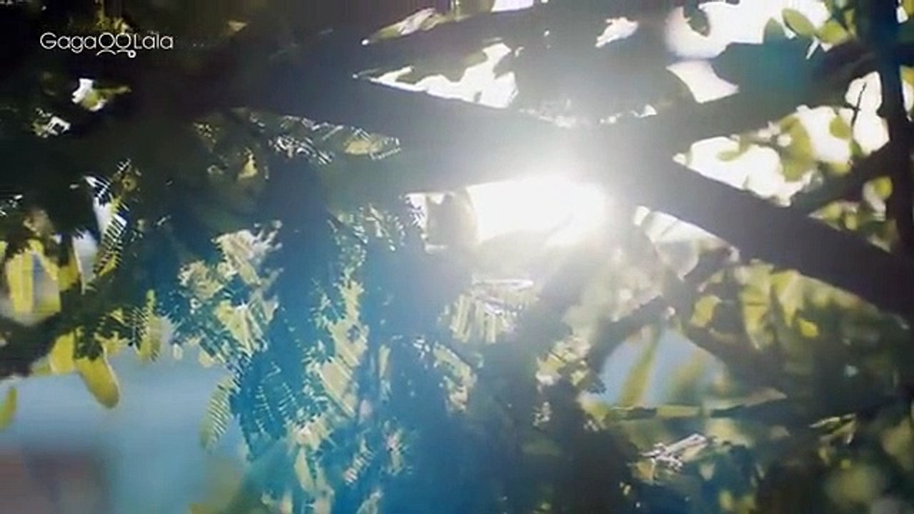 Bak3 M3 Please EP5 Eng Sub