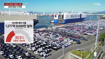 "차 25% 관세"에 '초긴장'...경제사절단, 해법 찾을까? / YTN