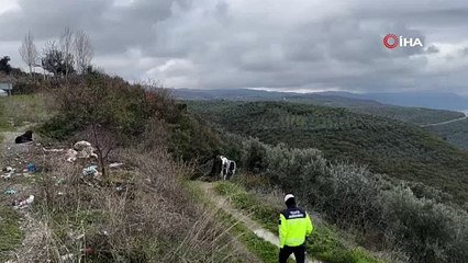 Taklalar atan araçtan mucize kurtuluş