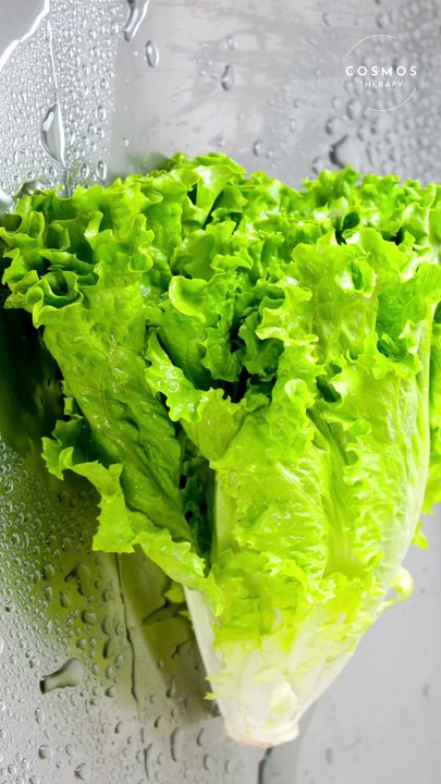 lettuce facts #shorts #diet #gardening #farming