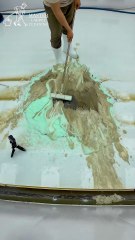 60 Seconds Of Magic - Satisfying Carpet Cleaning In 60s - Satisfying Video #carpetcleaning #shorts