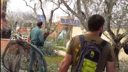 Rescatan a un mono capuchino que se encontraba subido a un árbol de una casa particular