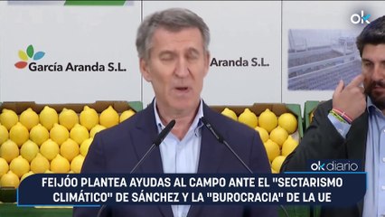 Feijóo plantea ayudas al campo ante el "sectarismo climático" de Sánchez y la "burocracia" de la UE