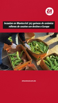 Incautan en Montecristi 303 guineos de ceramica rellenos de cocaina con destino a Europa