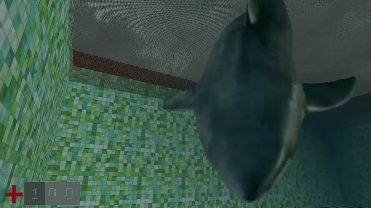 PSP game: Sir Spaniel's swim script