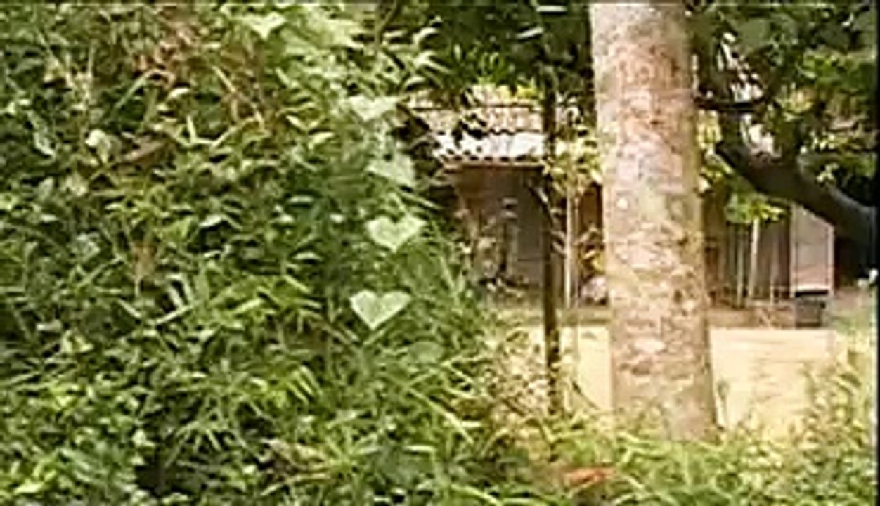 Huế Thương- Ca sĩ  Vân Khánh