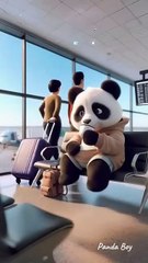 Panda waiting the plane in airport