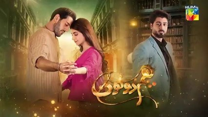 Hum Dono Episode 31 (Last Episode) - Full Drama with Subtitles | Hum TV 🇵🇰