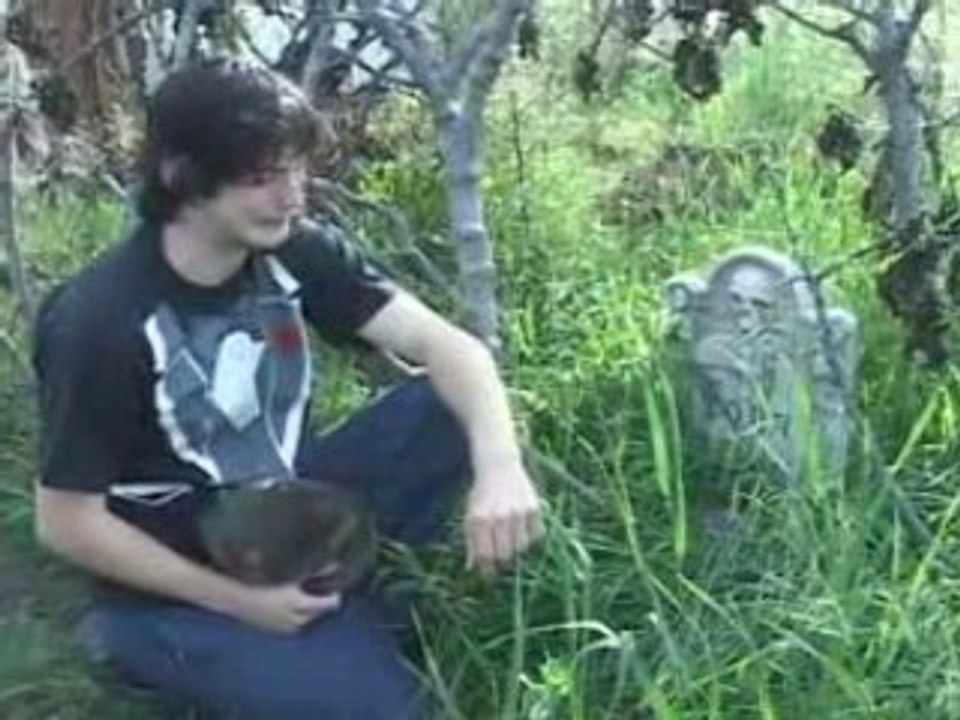 Brokeback Meowntain