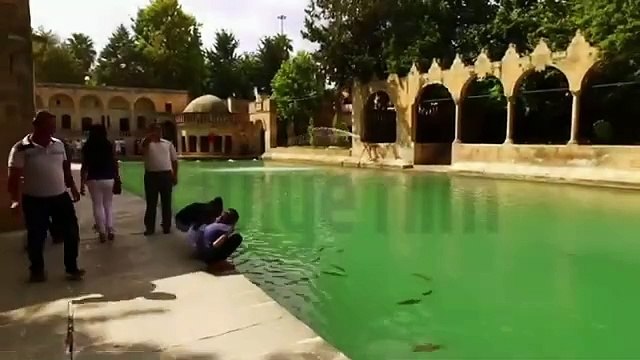 isyankar Bela & Müslüm Gürses Bakma