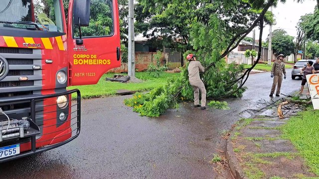 Galho de árvore caído mobiliza Corpo de Bombeiros no Cascavel Velho