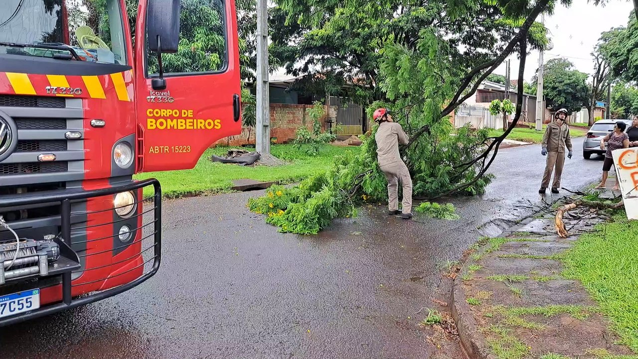Galho de árvore caído mobiliza Corpo de Bombeiros no Cascavel Velho