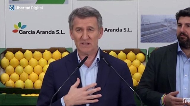 Feijóo exige una paz justa en Ucrania y que la UE cumpla sus compromisos con la OTAN