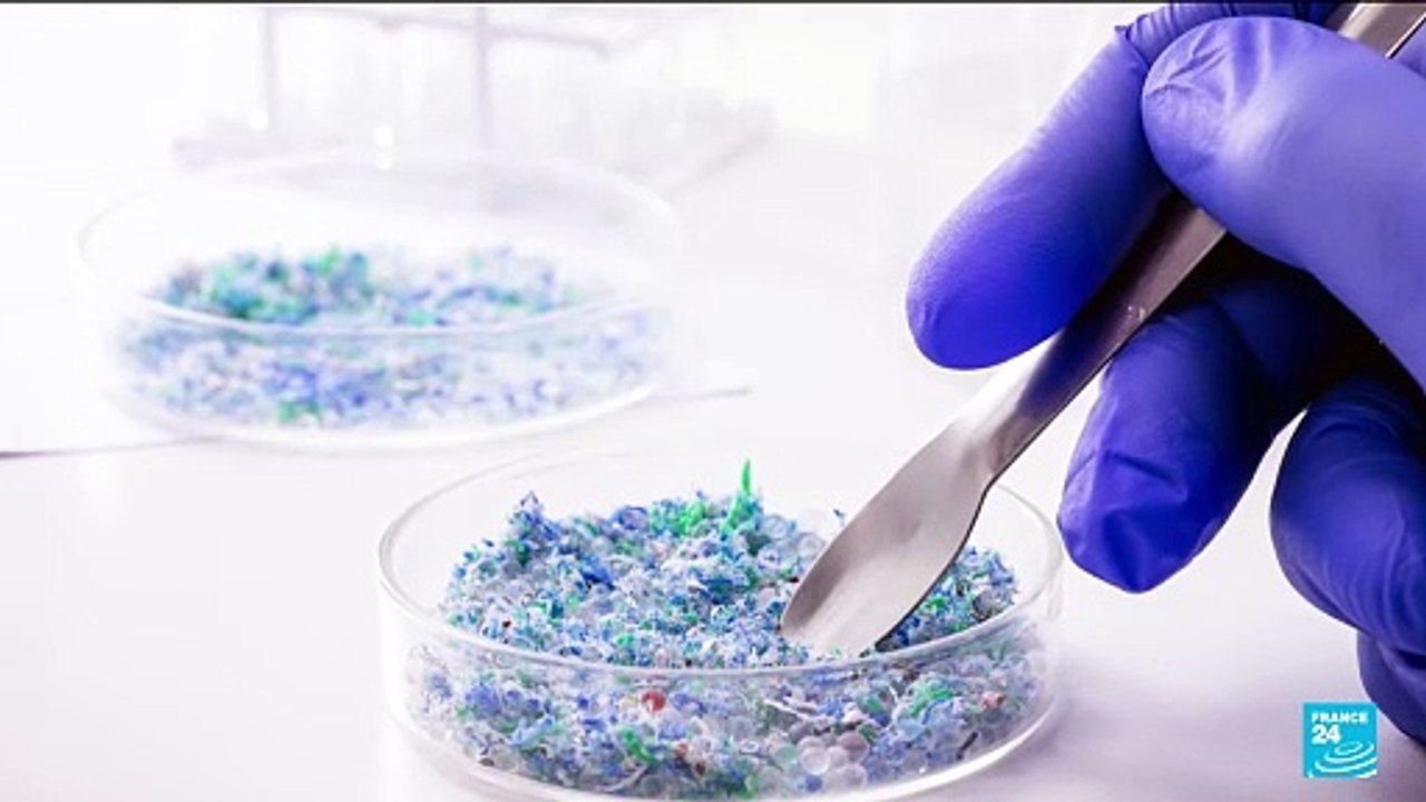 Microplastics found at higher concentrations in the brain