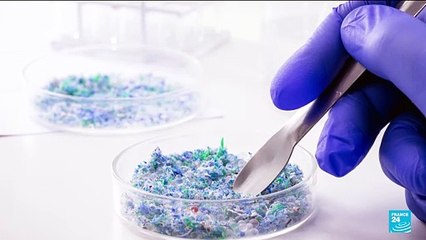 Microplastics found at higher concentrations in the brain