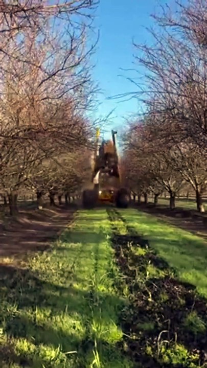 Elagage d'arbre en mode automatique... machine impressionnante