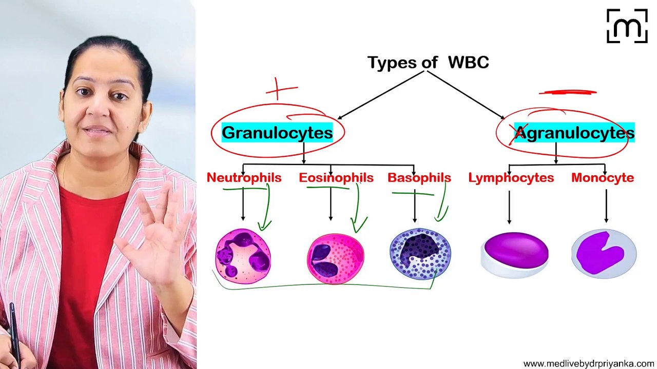 2. Leukemoid Rxn