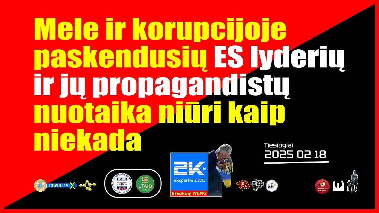 2K+ 2025 02 18