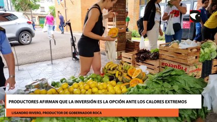 Productores afirman que la inversión es la opción ante los calores extremos
