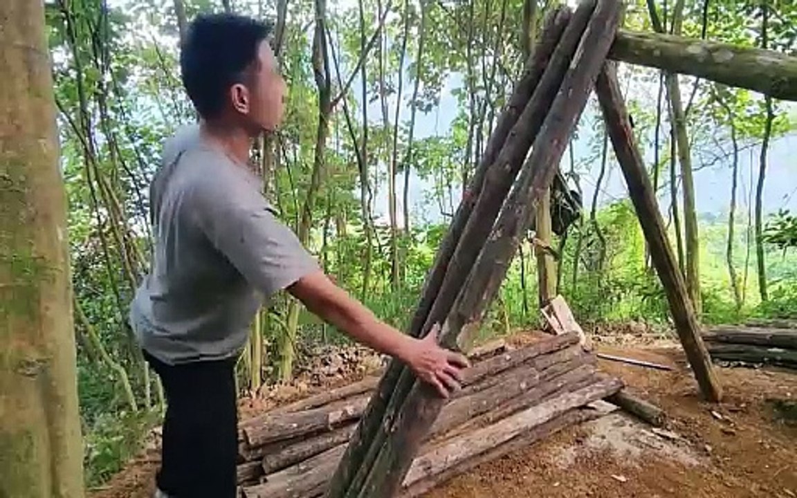 Building a Cozy Shelter in the Woods – Wilderness Survival & Outdoor Construction