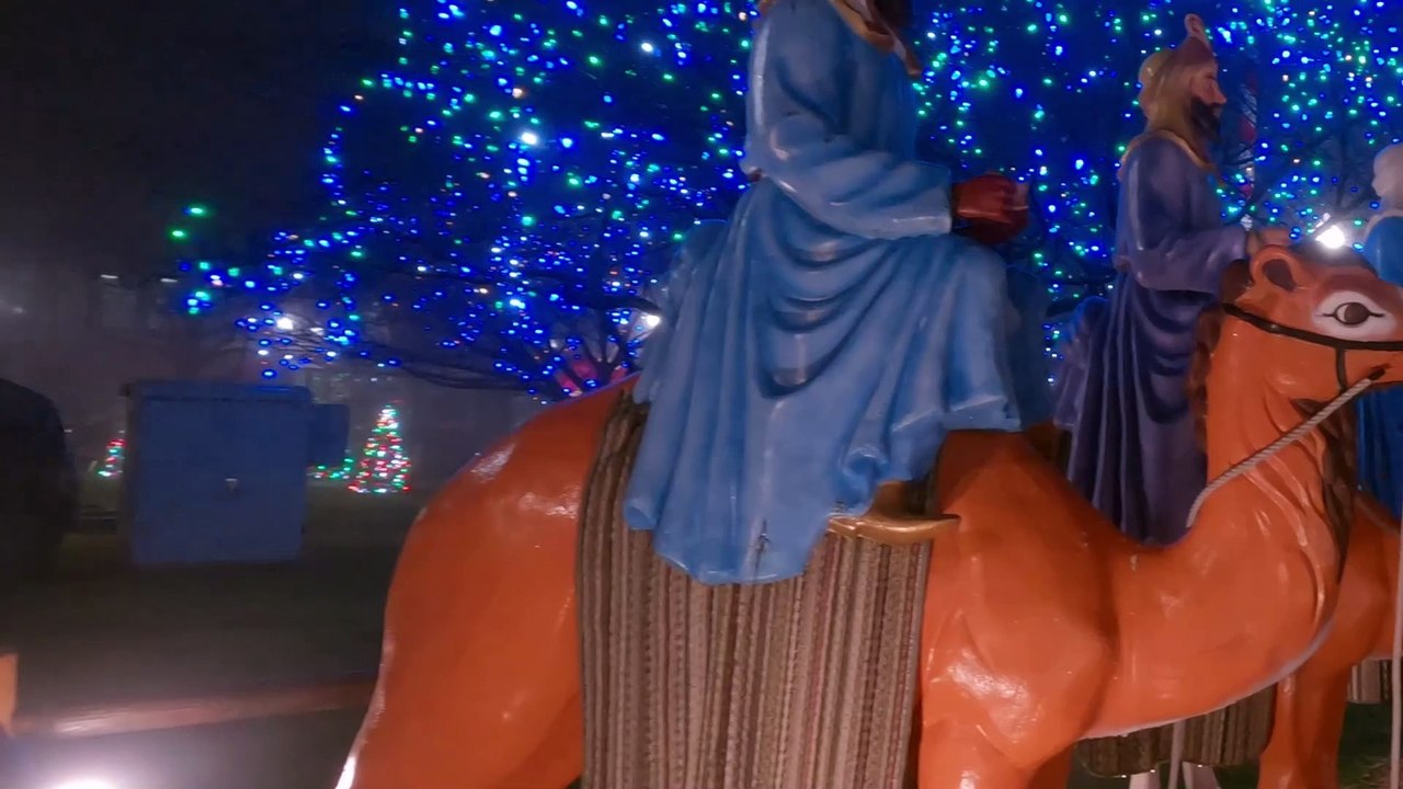 Jesus born on this day - Jane Eveland